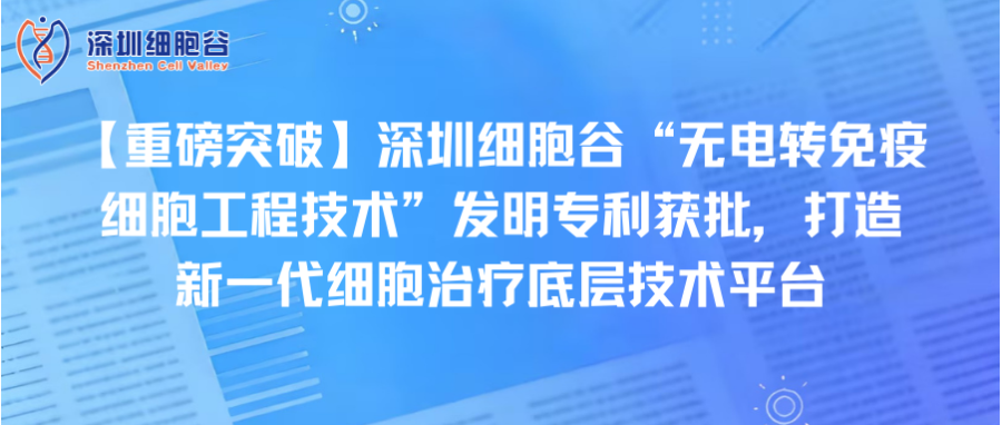 【重磅突破】深圳凯发K8“无电转免疫细胞工程技术”发明专利获批，打造新一代细胞治疗底层技术平台