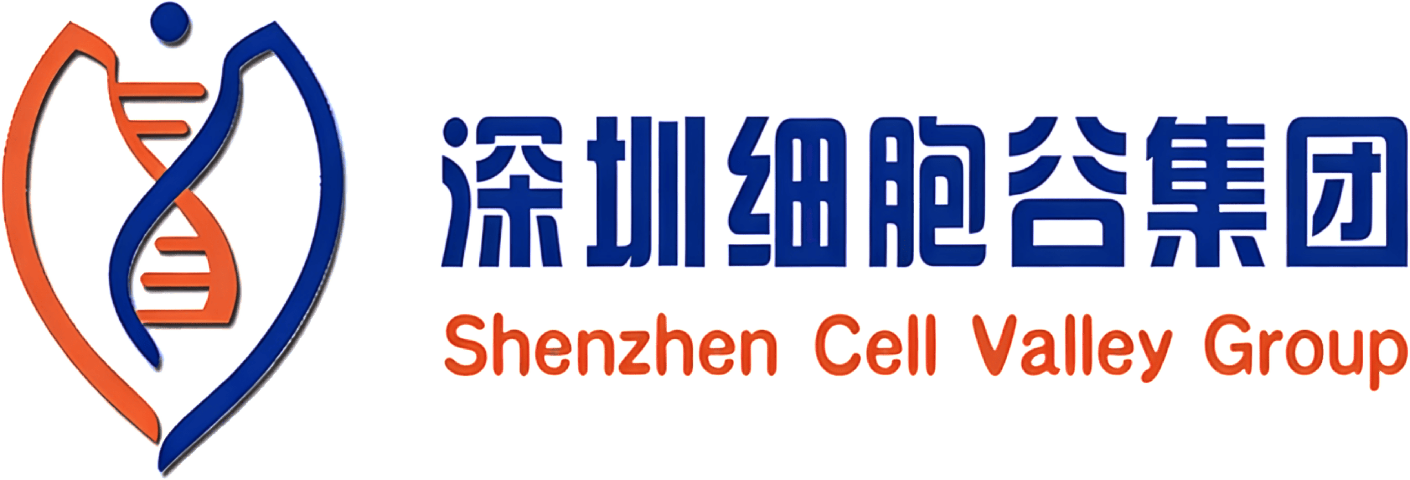 深圳凯发K8集团